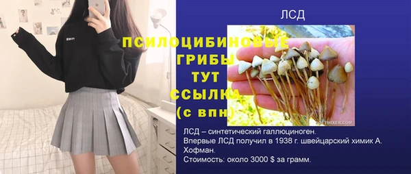 ПСИЛОЦИБИНОВЫЕ ГРИБЫ Абаза