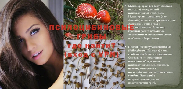 молекула духа Абинск