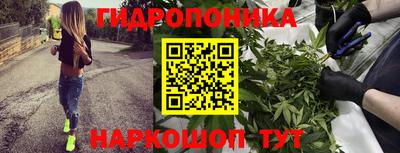 стафф Усть-Илимск