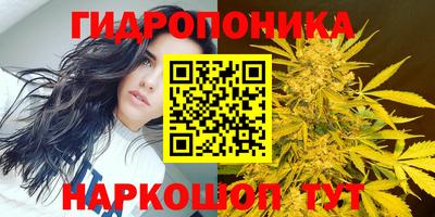 шишки Усть-Джегута