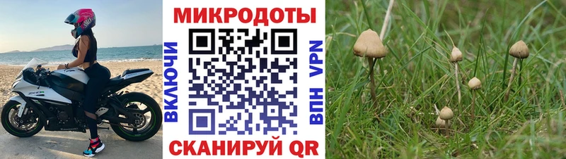 Галлюциногенные грибы MAGIC MUSHROOMS  МЕГА ССЫЛКА  Ангарск 