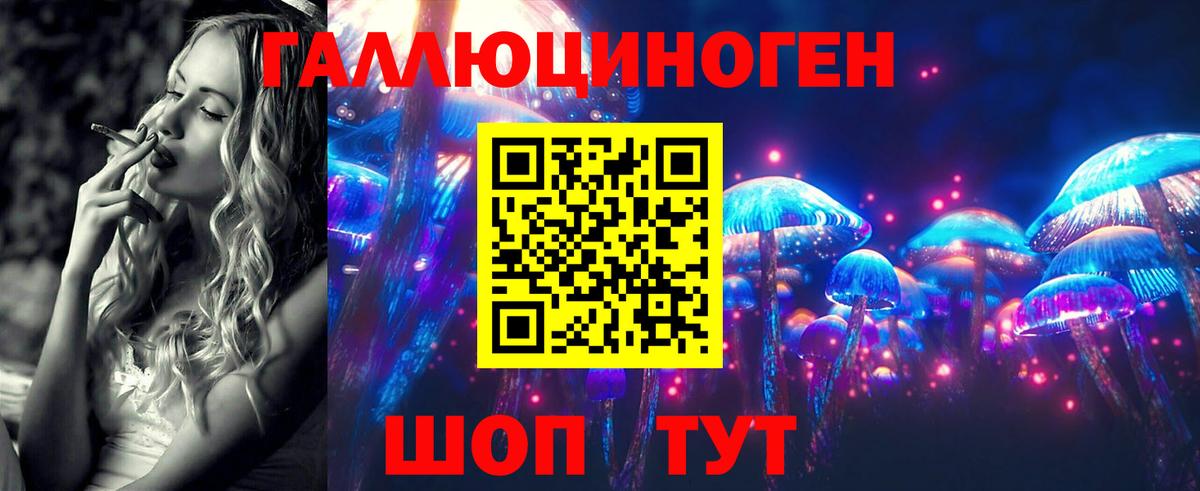 Ангарск  Галлюциногенные грибы Psilocybine cubensis  Вход с VPN 